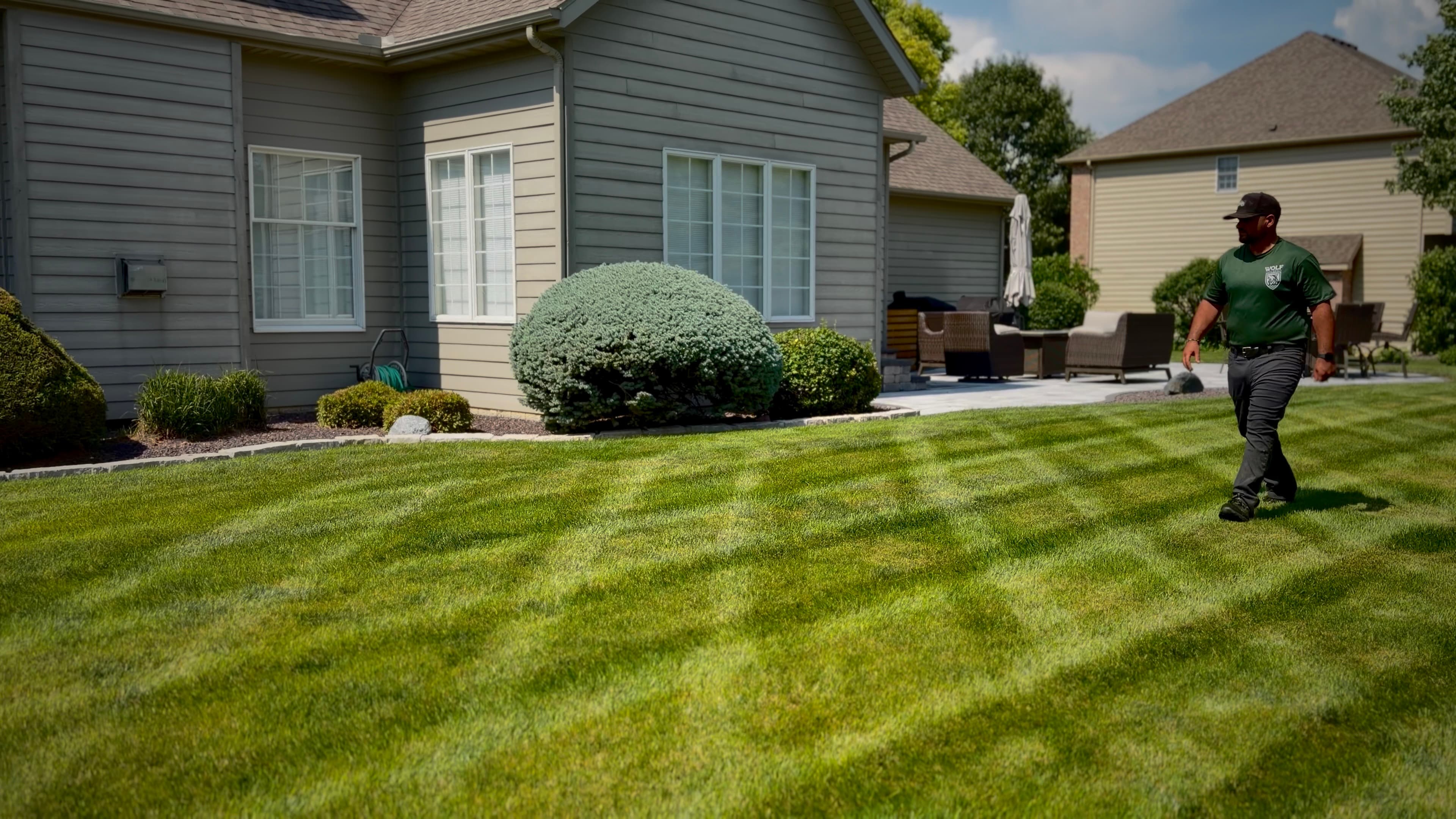 Curated Lawn